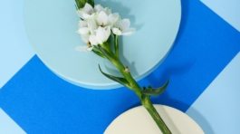 pexels-daria-liudnaya-7354669