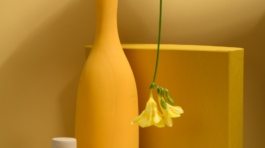 pexels-daria-liudnaya-7354715