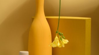 pexels-daria-liudnaya-7354715