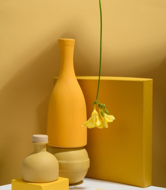 pexels-daria-liudnaya-7354715