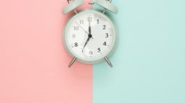 pexels-moose-photos-1037993