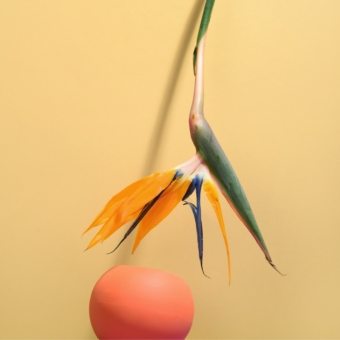 pexels-daria-liudnaya-7354422-min