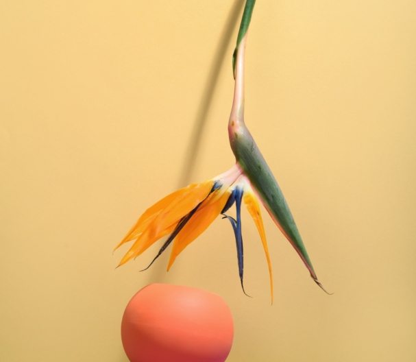 pexels-daria-liudnaya-7354422-min