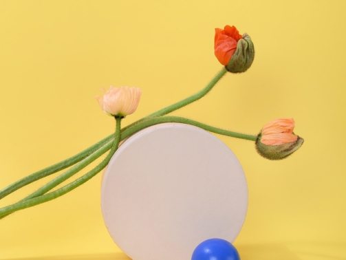 pexels-daria-liudnaya-7354444-min