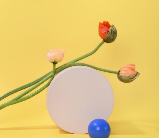 pexels-daria-liudnaya-7354444-min