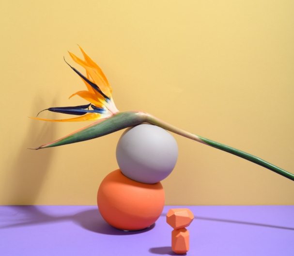 pexels-daria-liudnaya-7354472-min