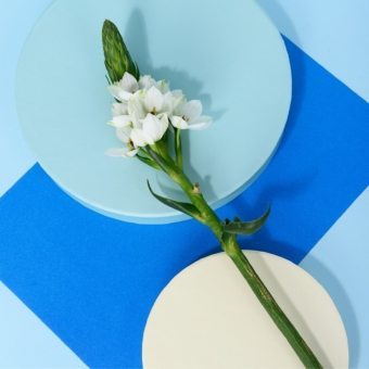 pexels-daria-liudnaya-7354669-min