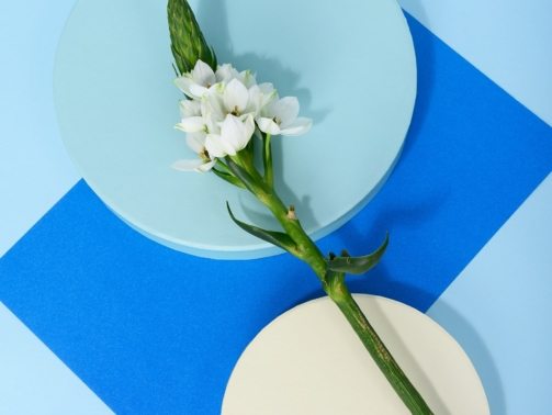 pexels-daria-liudnaya-7354669-min