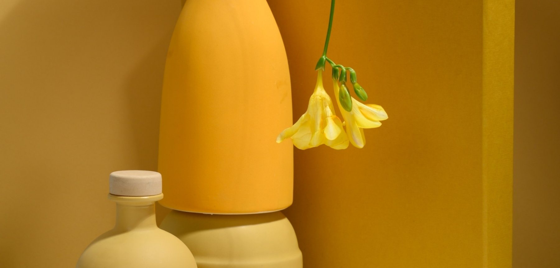 pexels-daria-liudnaya-7354715