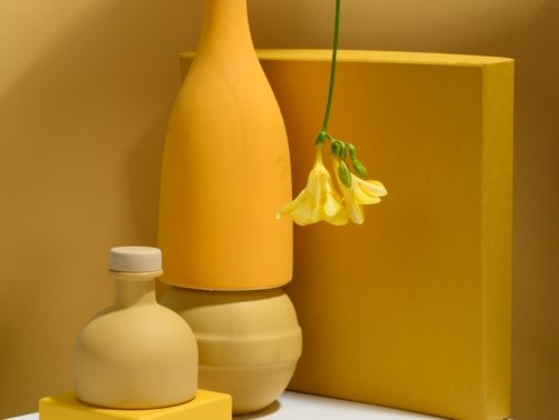 pexels-daria-liudnaya-7354715