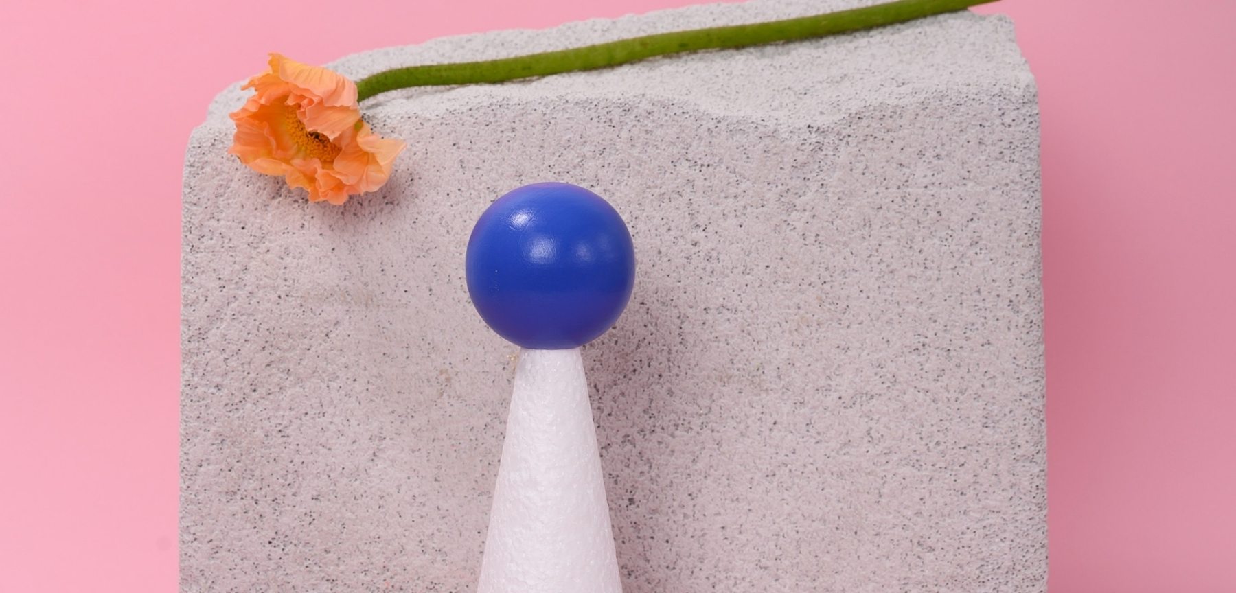 pexels-daria-liudnaya-7354801