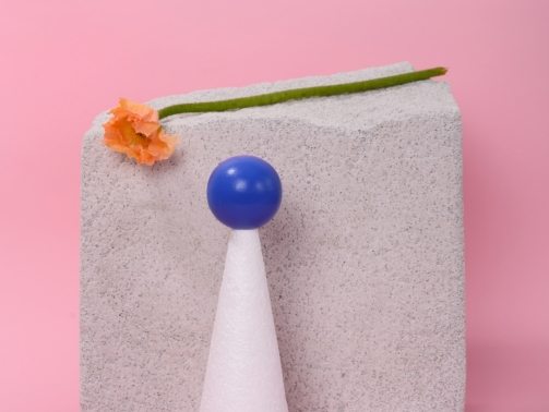 pexels-daria-liudnaya-7354801