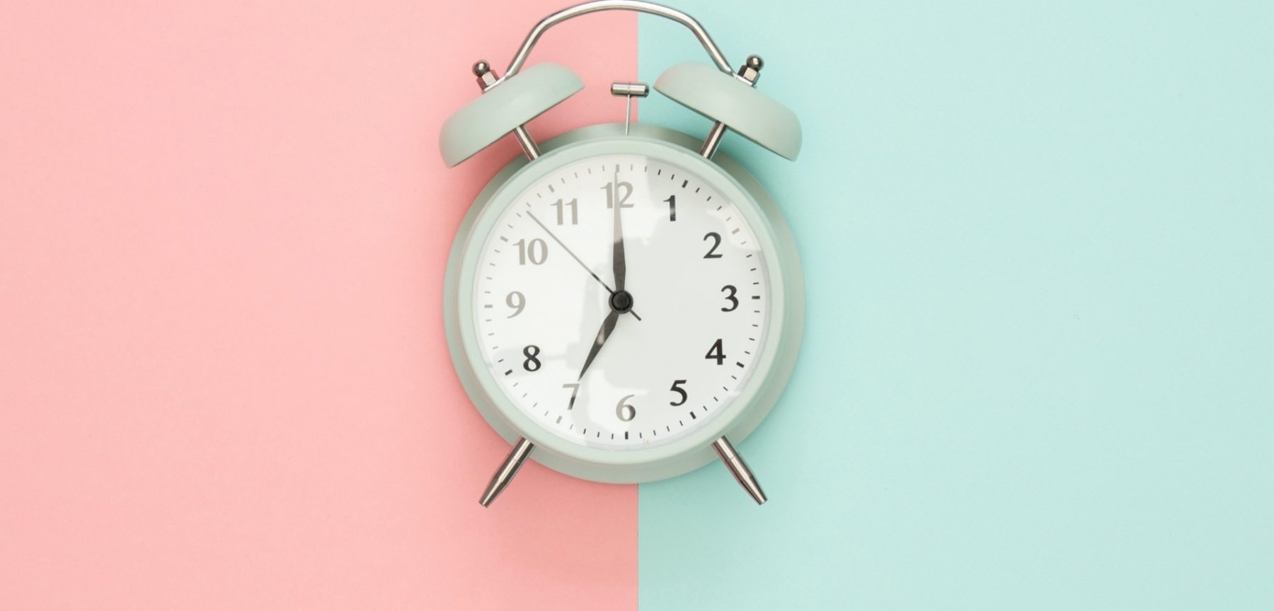 pexels-moose-photos-1037993