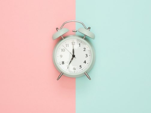 pexels-moose-photos-1037993