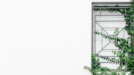 ben-neale-29w9FiMWSr8-unsplash-1024x1024