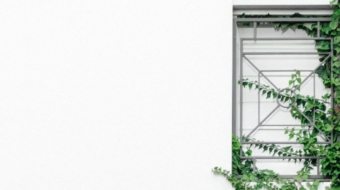 ben-neale-29w9FiMWSr8-unsplash-1024x1024