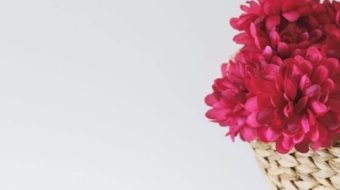 ina-soulis-WXHSLTIK1gY-unsplash-1024x1024