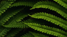 daniel-mirlea-fxiAxNLpoqI-unsplash@2x