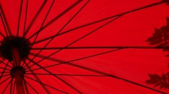 loic-furhoff-YERwza88a0o-unsplash@2x