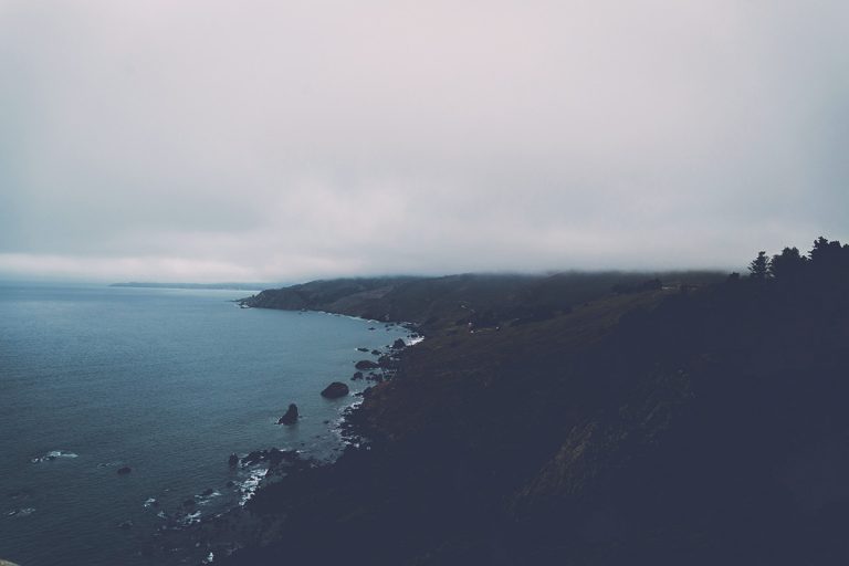 photo-1473557656032-3c55d06303d7