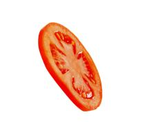 tomato (1)
