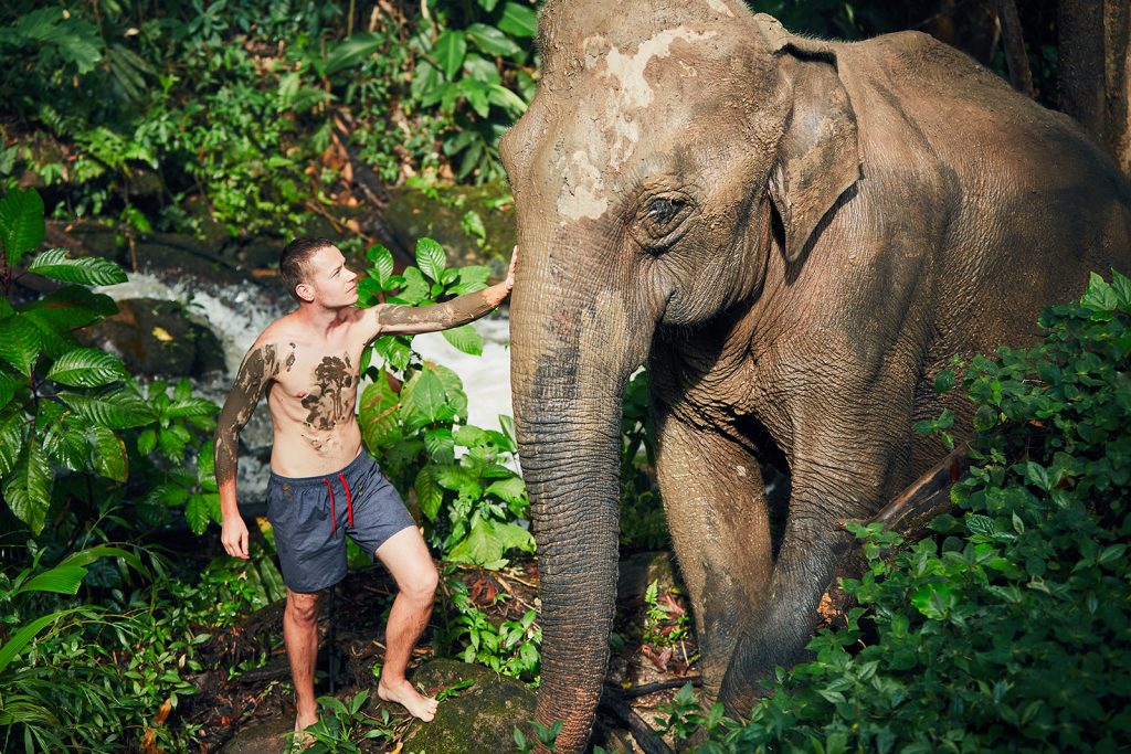 Elephants Are Being Killed for Their Skin Elephants Are Being Killed for Their Skin