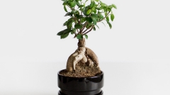 photo-1467043198406-dc953a3defa0