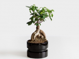 photo-1467043198406-dc953a3defa0