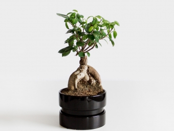 photo-1467043198406-dc953a3defa0