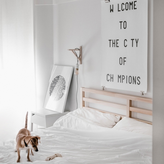 photo-1507512795116-c82643d52edc