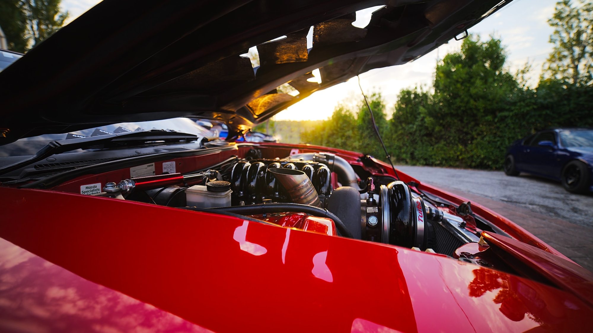 patrick-bWSiIlfFr-8-unsplash