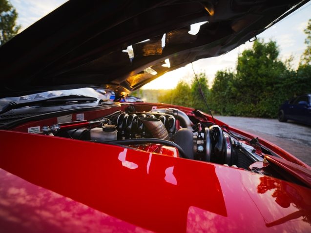 patrick-bWSiIlfFr-8-unsplash