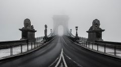 daniel-olah-539758-unsplash