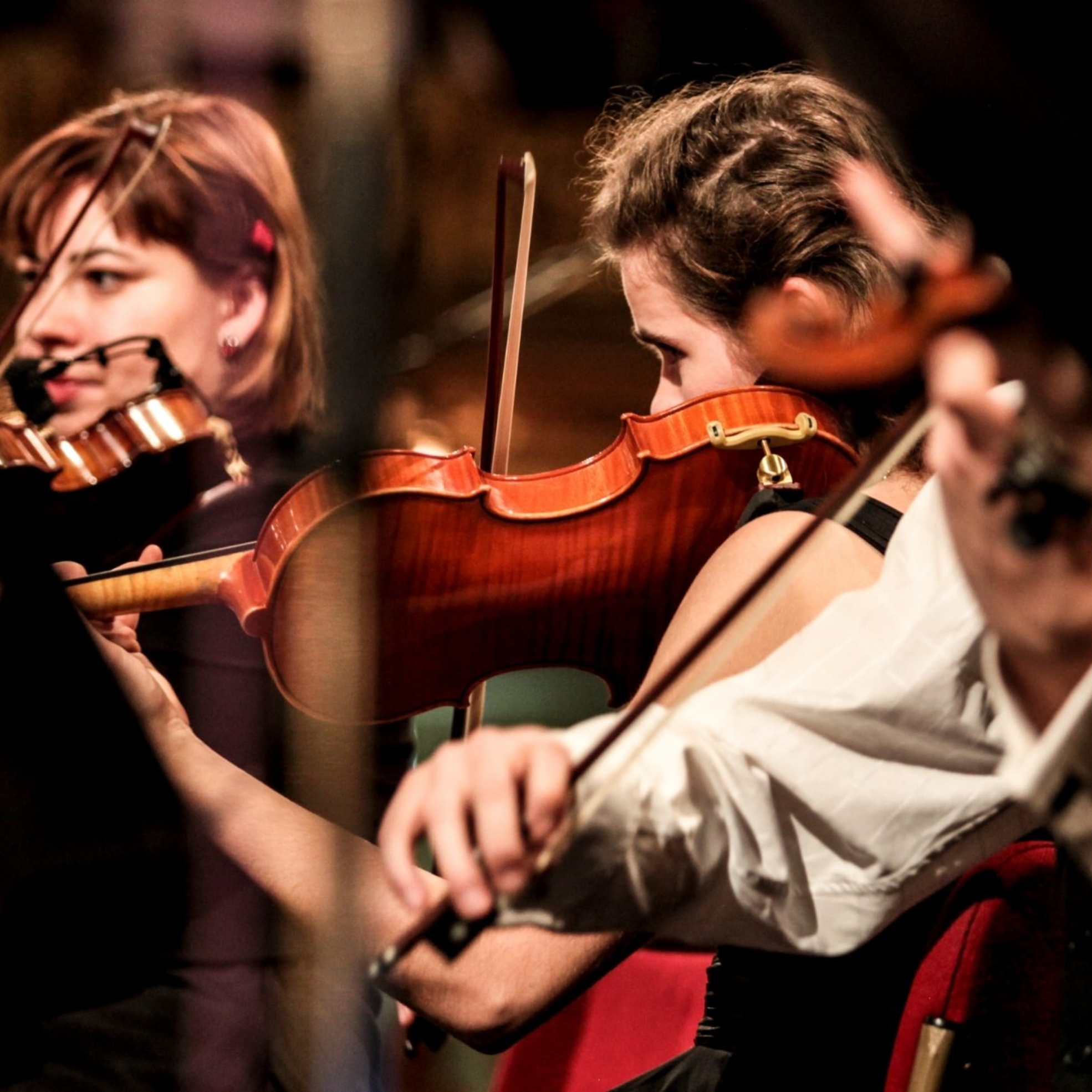 jan-strecha-lp4j3sjaocI-unsplash