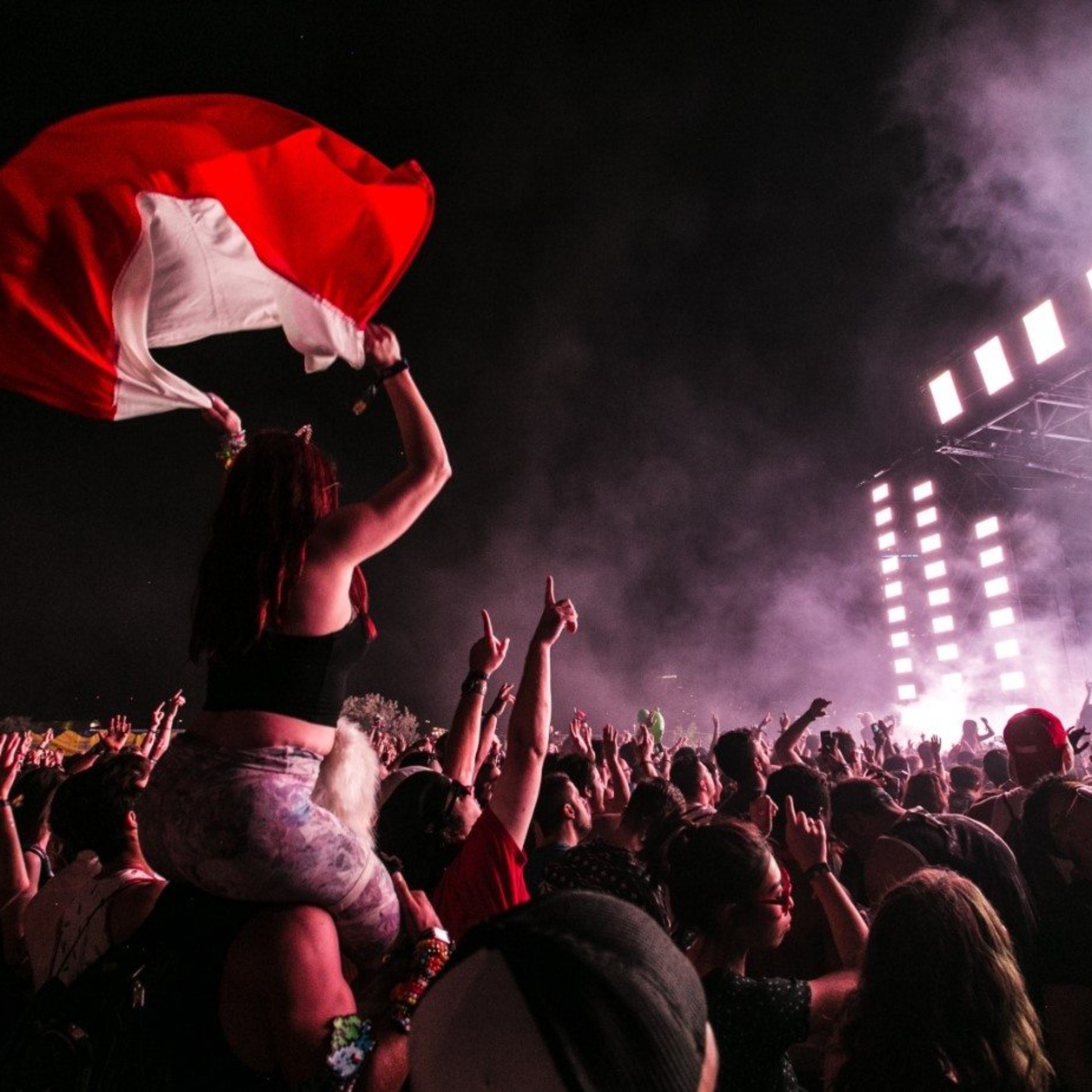 photo-of-crowd-during-concert-1190295