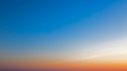 cesar-couto-423272-unsplash