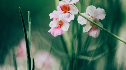 chuttersnap-565733-unsplash