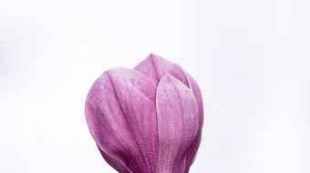 erda-estremera-572432-unsplash