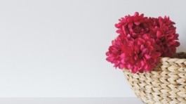 ina-soulis-227104-unsplash