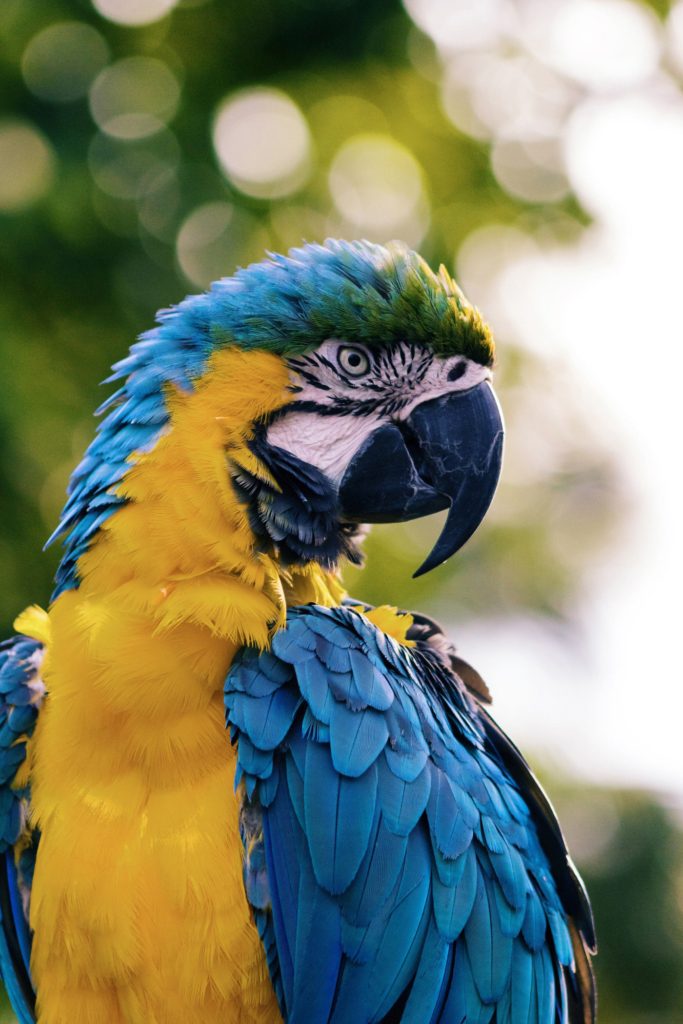 andrew-pons-57133-unsplash