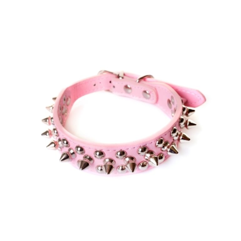 spike-collar-for-dog-JPKRAHV