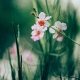 chuttersnap-565733-unsplash