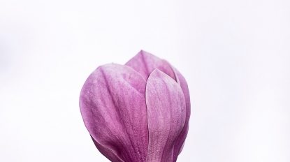 erda-estremera-572432-unsplash