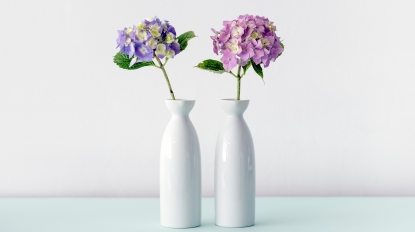 maarten-deckers-295105-unsplash