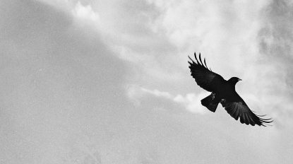 samuel-zeller-34761-unsplash