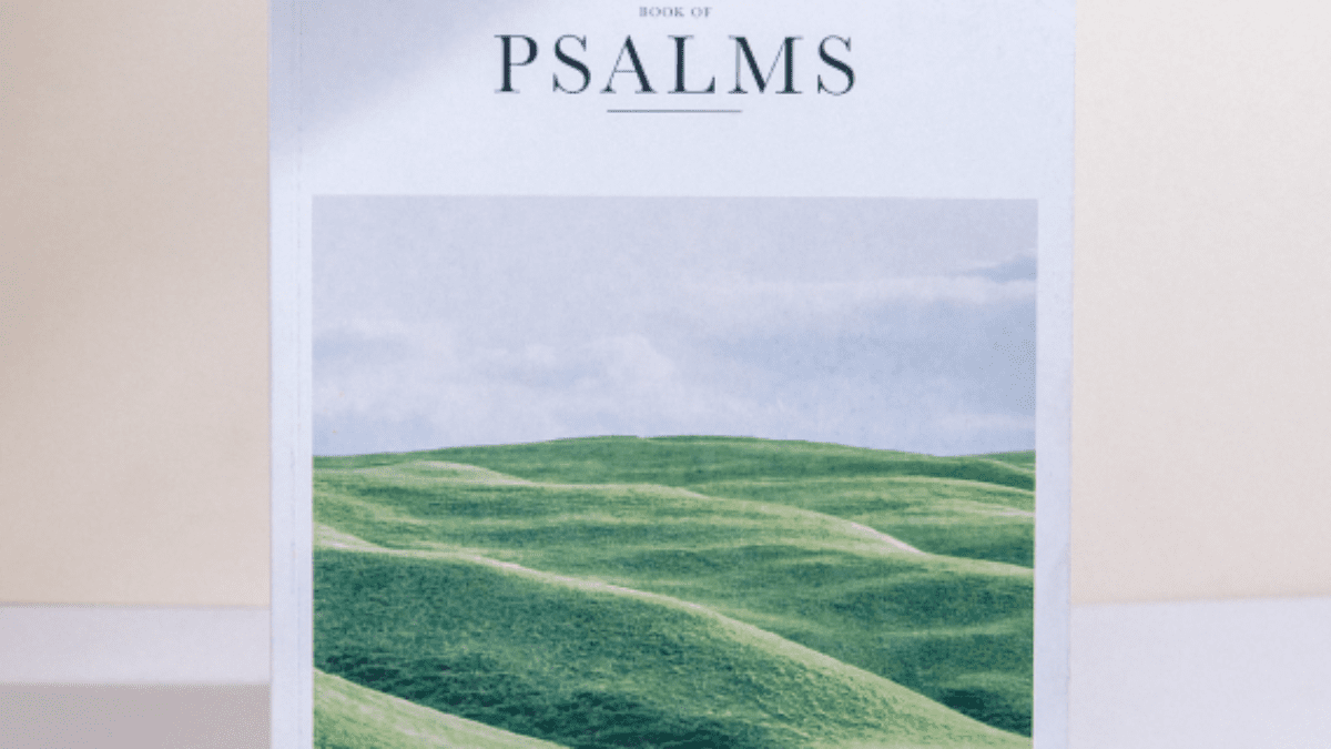 alabaster-co-mh6qdJmJyMA-unsplash 2