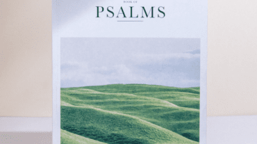 alabaster-co-mh6qdJmJyMA-unsplash 2