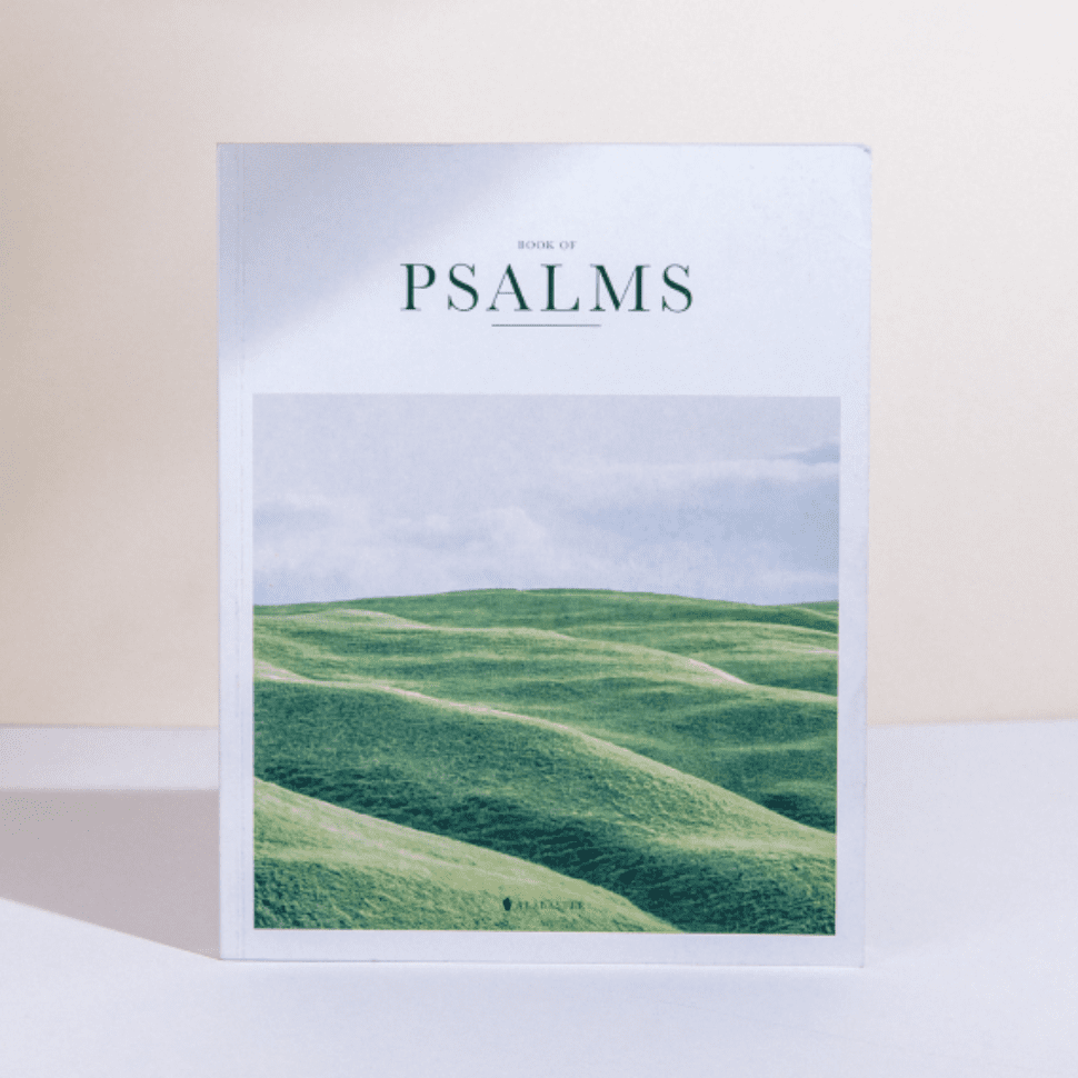 alabaster-co-mh6qdJmJyMA-unsplash 2