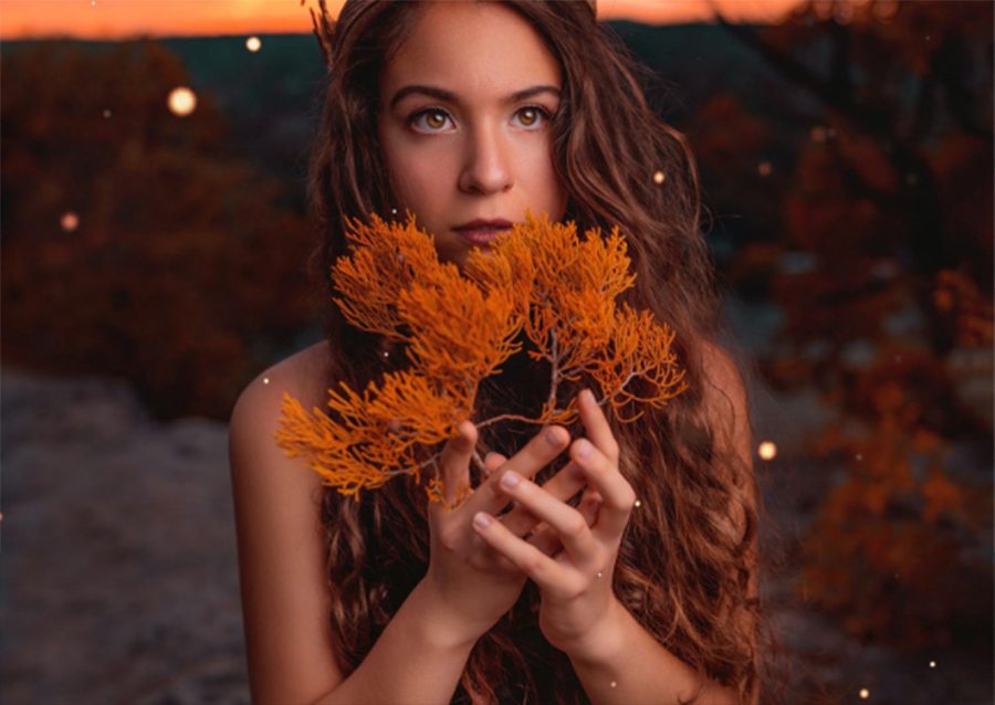 5
