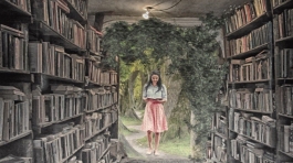 library-3992076_1920